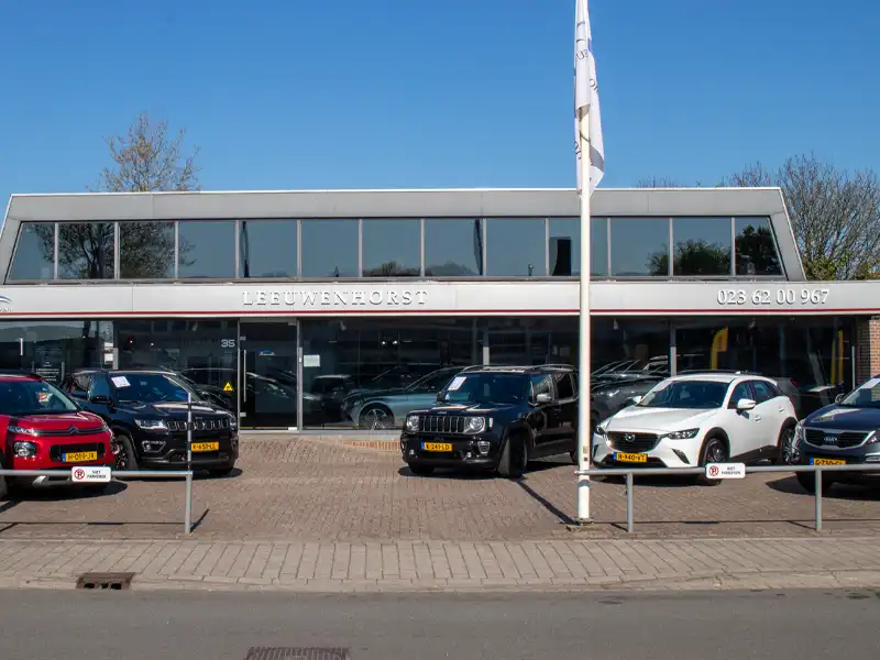 Alle merken en modellen | Leeuwenhorst Automotive