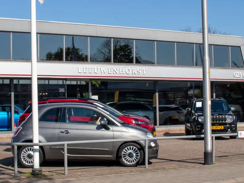 Diverse merken en modellen | Leeuwenhorst Automotive